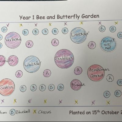 BeeButterflyGarden-Year1PlantingPlan