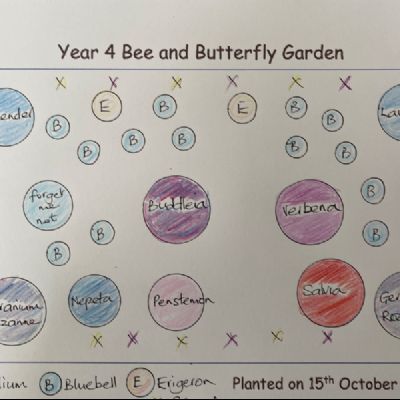 BeeButterflyGarden-Year4PlantingPlan