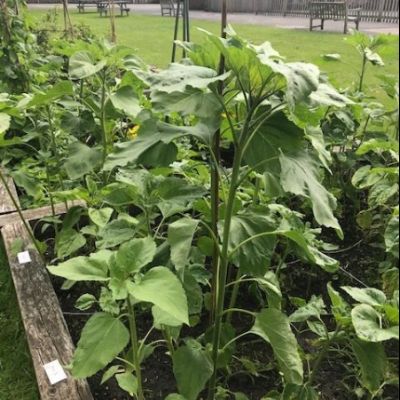 515293D8-C352-490C-B191-FF9C4EE2C5B9