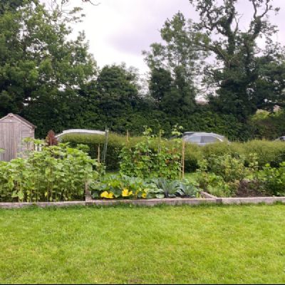 8E0C4773-AFA6-49E9-8AE9-444ADB029103