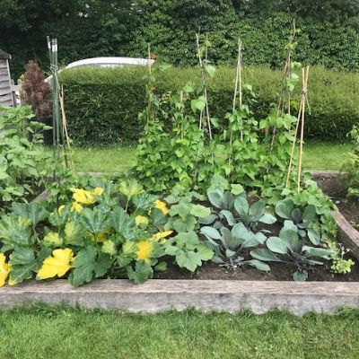 B0491790-1B8D-40B4-83E2-CDA14F61ED84