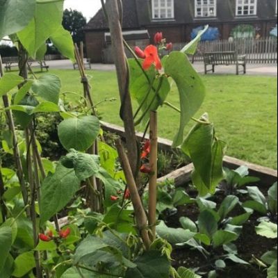 D55771B2-1CD5-4B88-87DD-E9CBED4E15C8