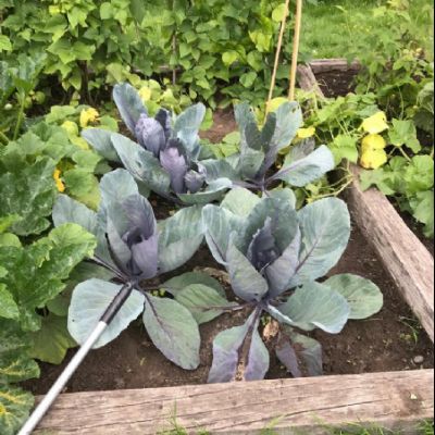 e883aa5a-a43b-4698-88ac-bd595ef91d8f