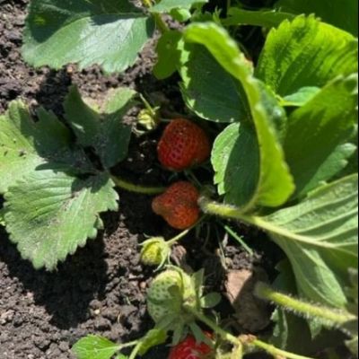 7E89DE13-52D7-4649-8F4E-1FD8A004FD5D