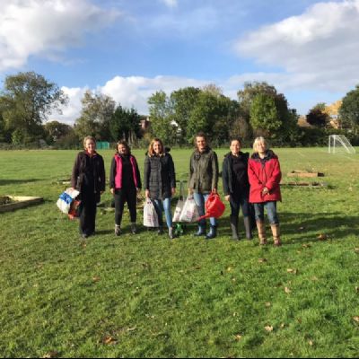 BeeButterflyGardensPlanted