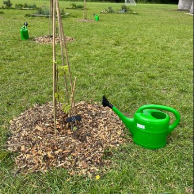 840DE96C-13EA-47FD-A4D4-7B0D6B628A88