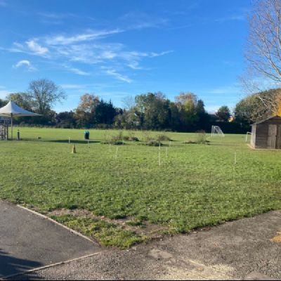 TreeBulbPlantingandSeedScatteringNov20211)