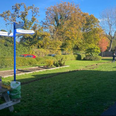 TreeBulbPlantingandSeedScatteringNov20215)